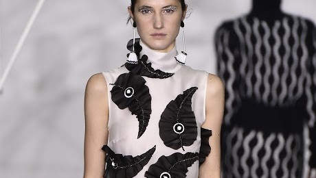 Promotional image presenting Holly Fulton colaboration with RBIs